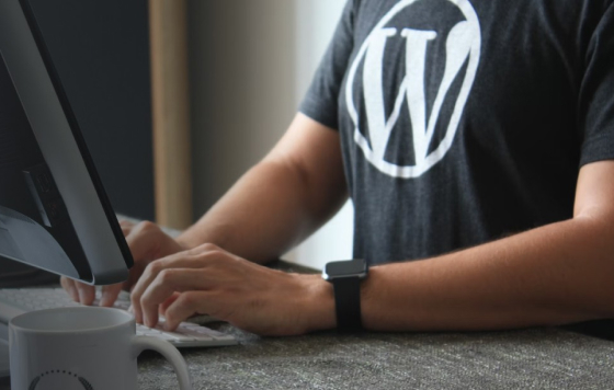 WordPress คืออะไร