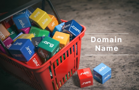 Domain Name คือ